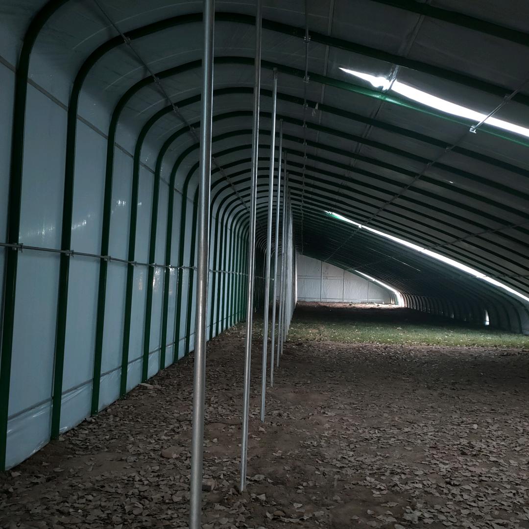 定州市二强无公害蔬菜基地