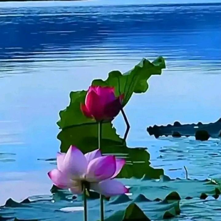 本命年遇上《上上签》