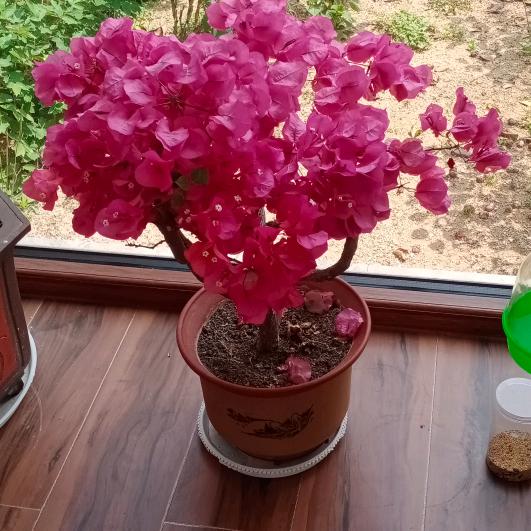 平安快乐每一天