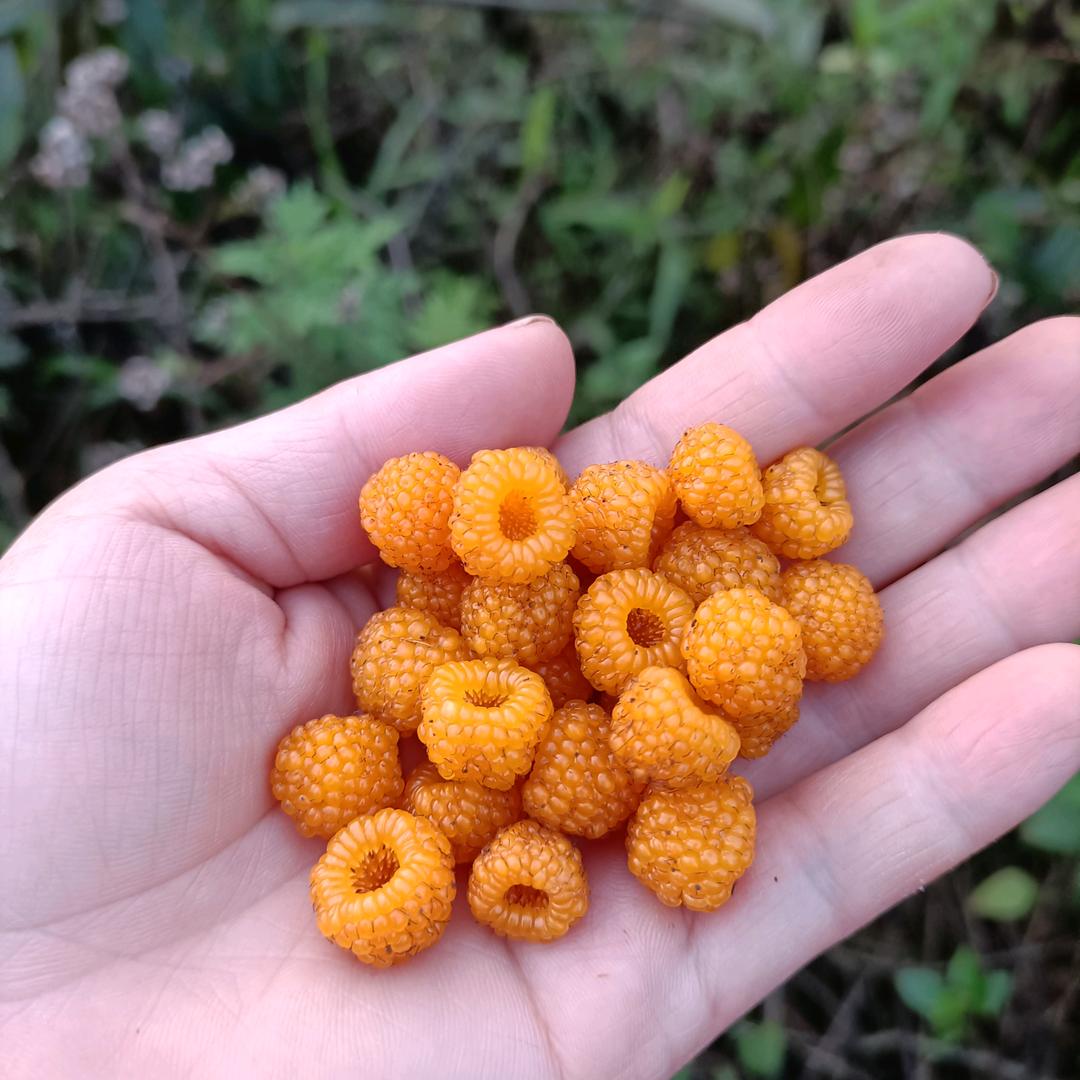 以后