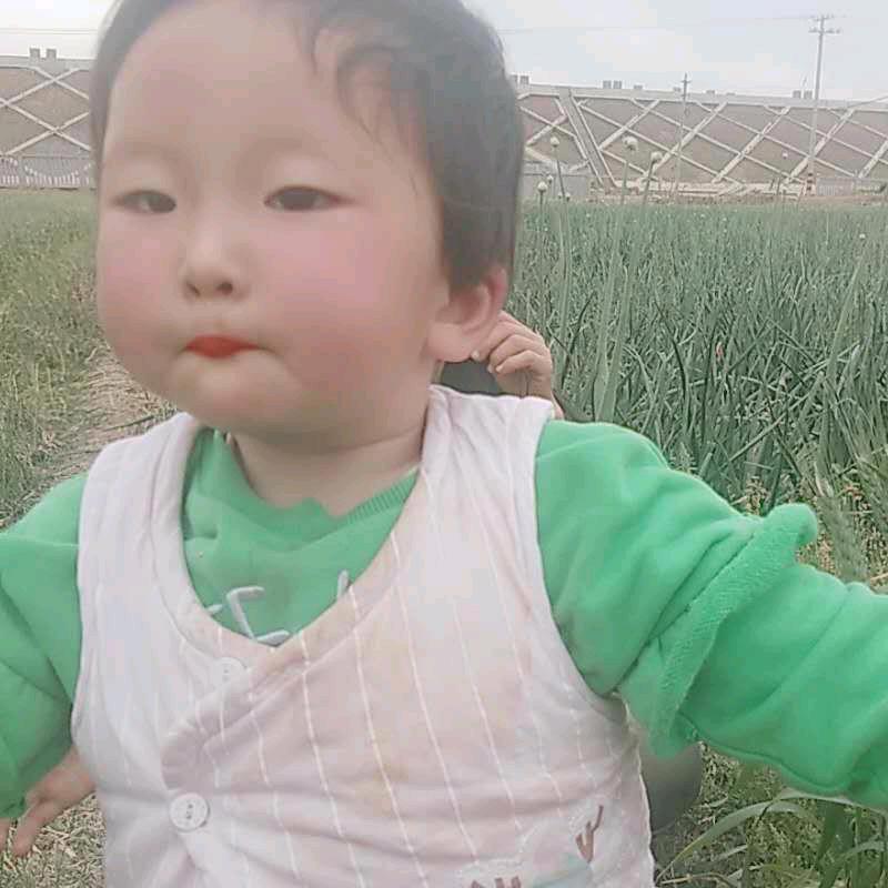 忍