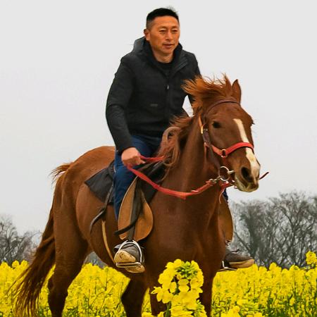 阿青牧场