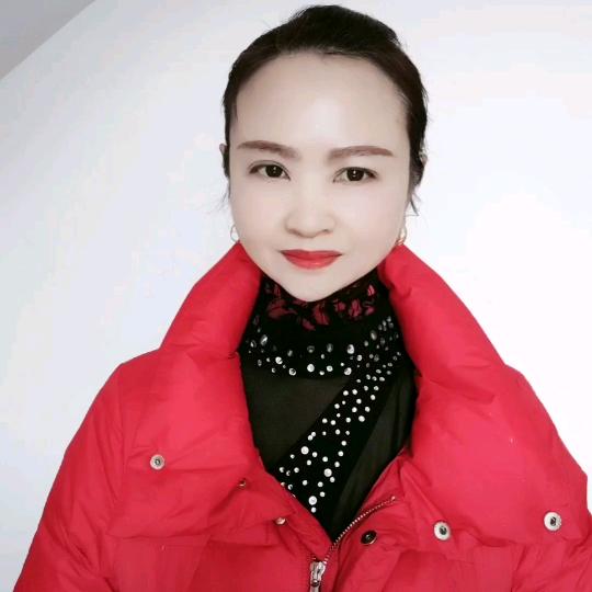 冬天里的梅