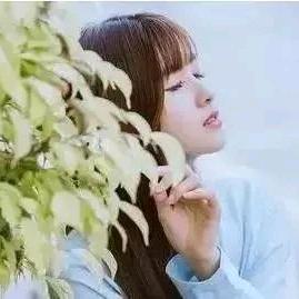 💞梦💞
