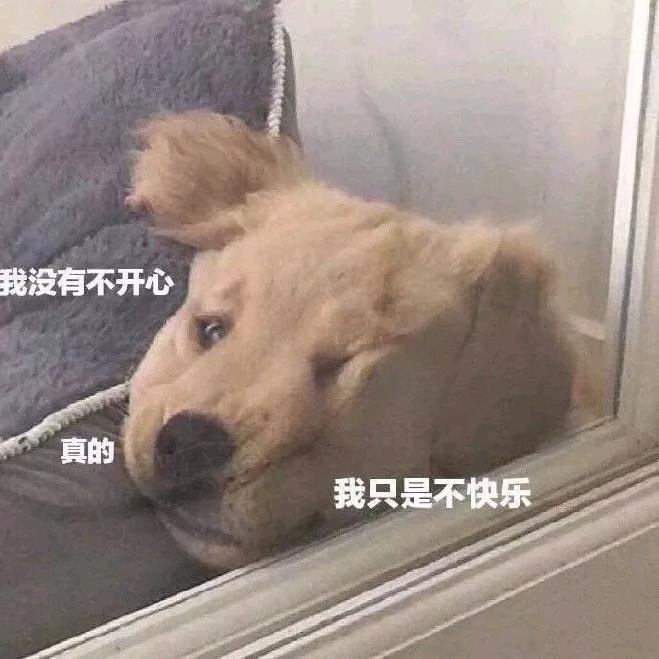 噗宝