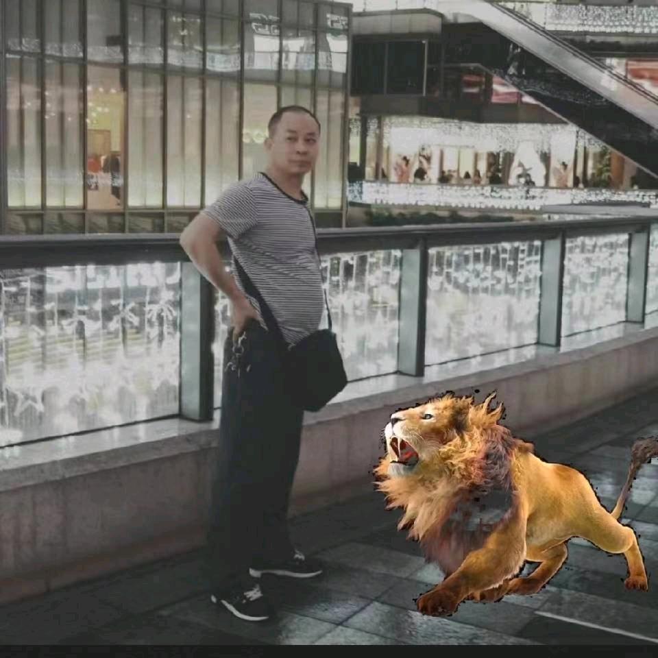 实用懒人菜谱⁵
