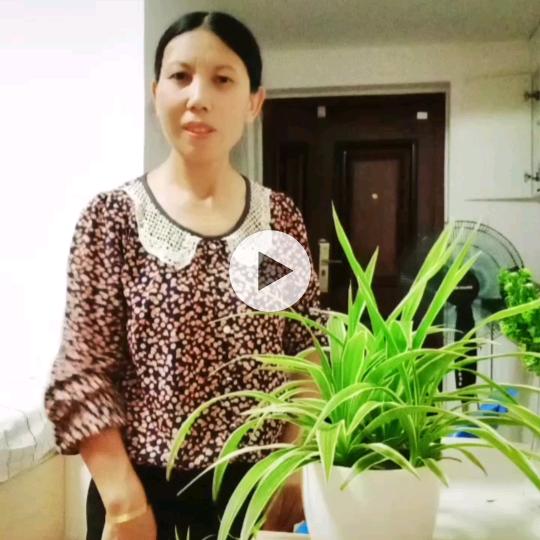 河南南阳邓县滴