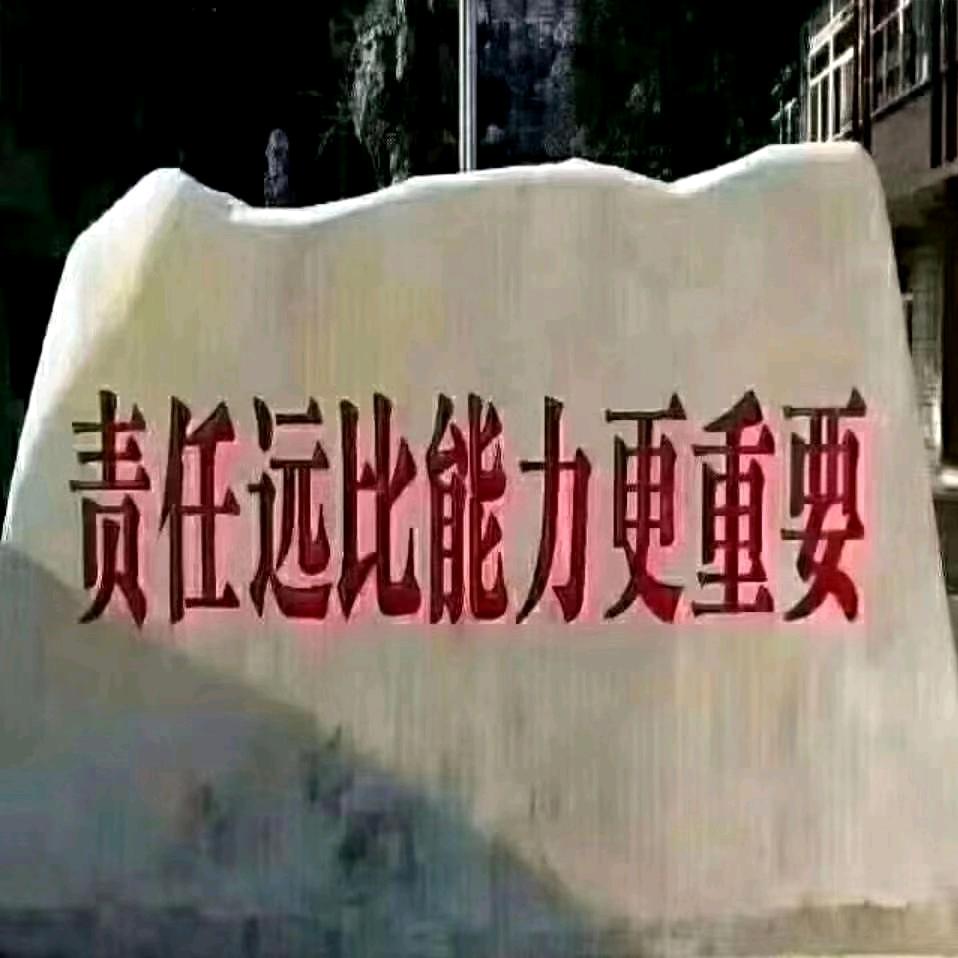湘N在浙