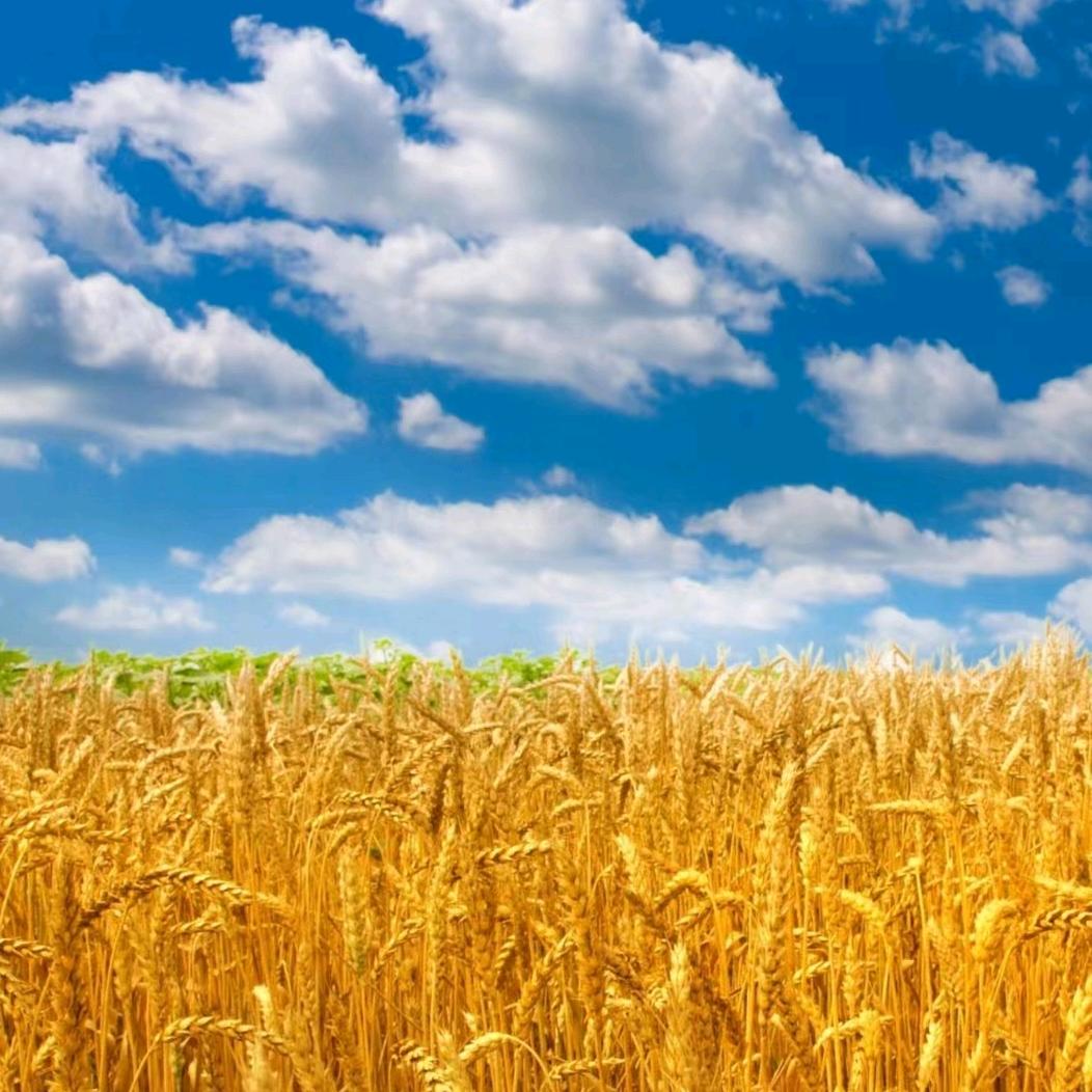 😊幸福一家人😊