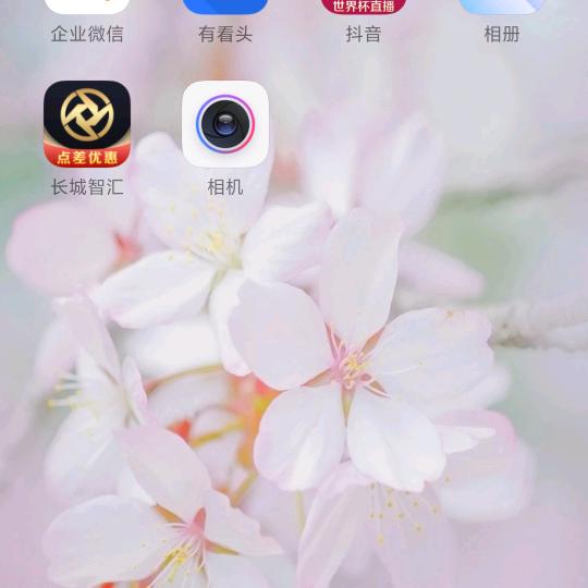 老杨ly