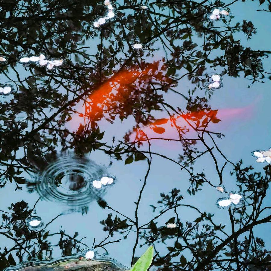 王：