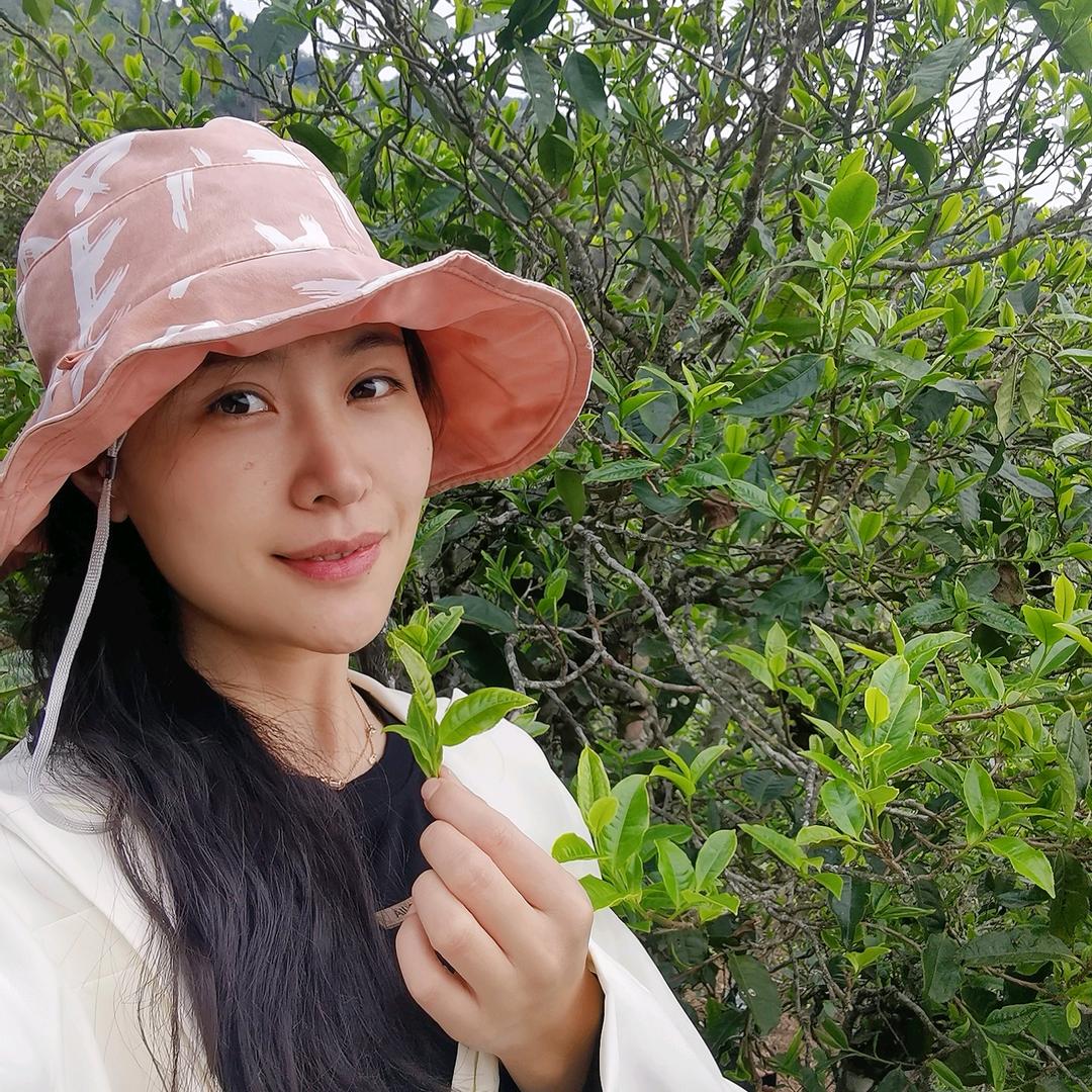 琴心茶事
