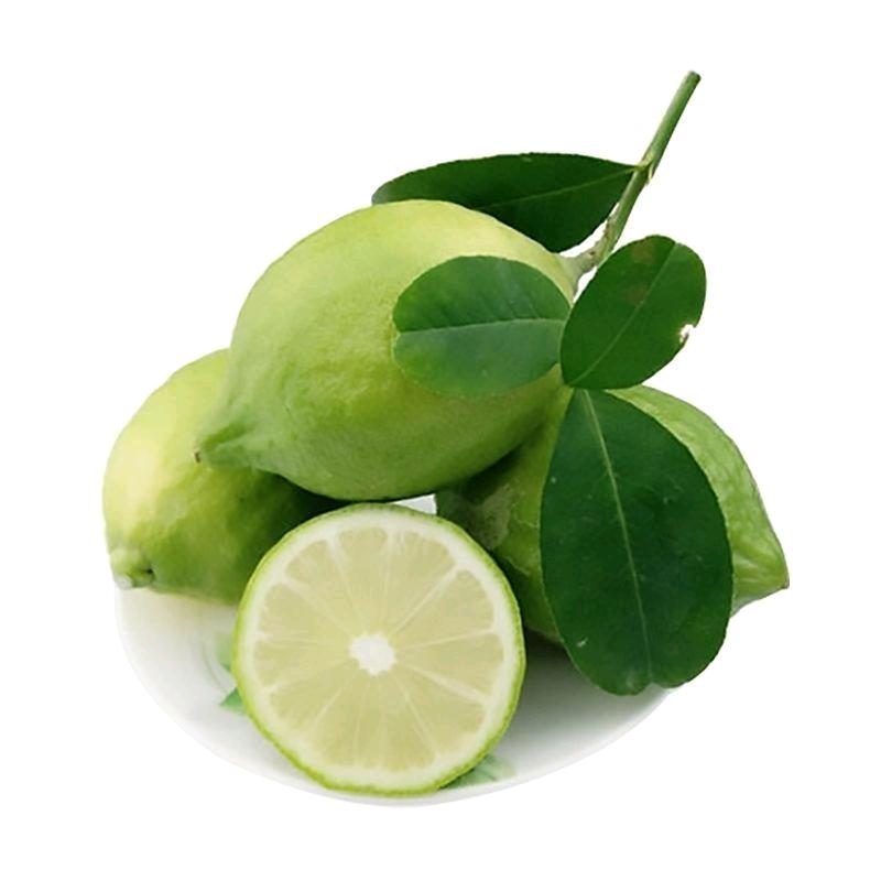 墨柠奶茶鲜果供应链