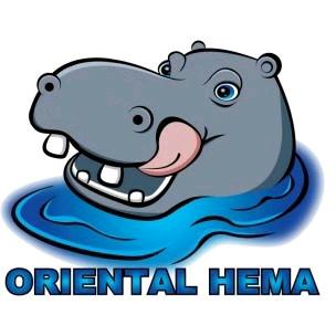 东方河马东方河马（北京）汽车科技有限公司汽车用品专卖店