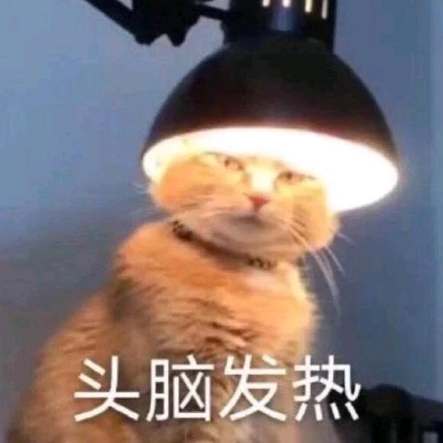 小鲸鱼🐳