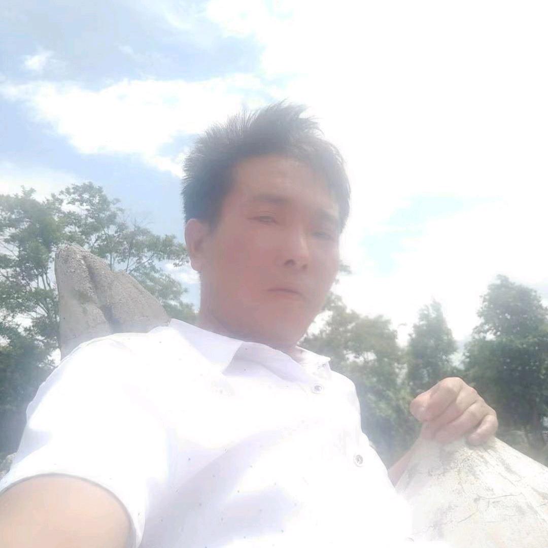 爱情的伤害