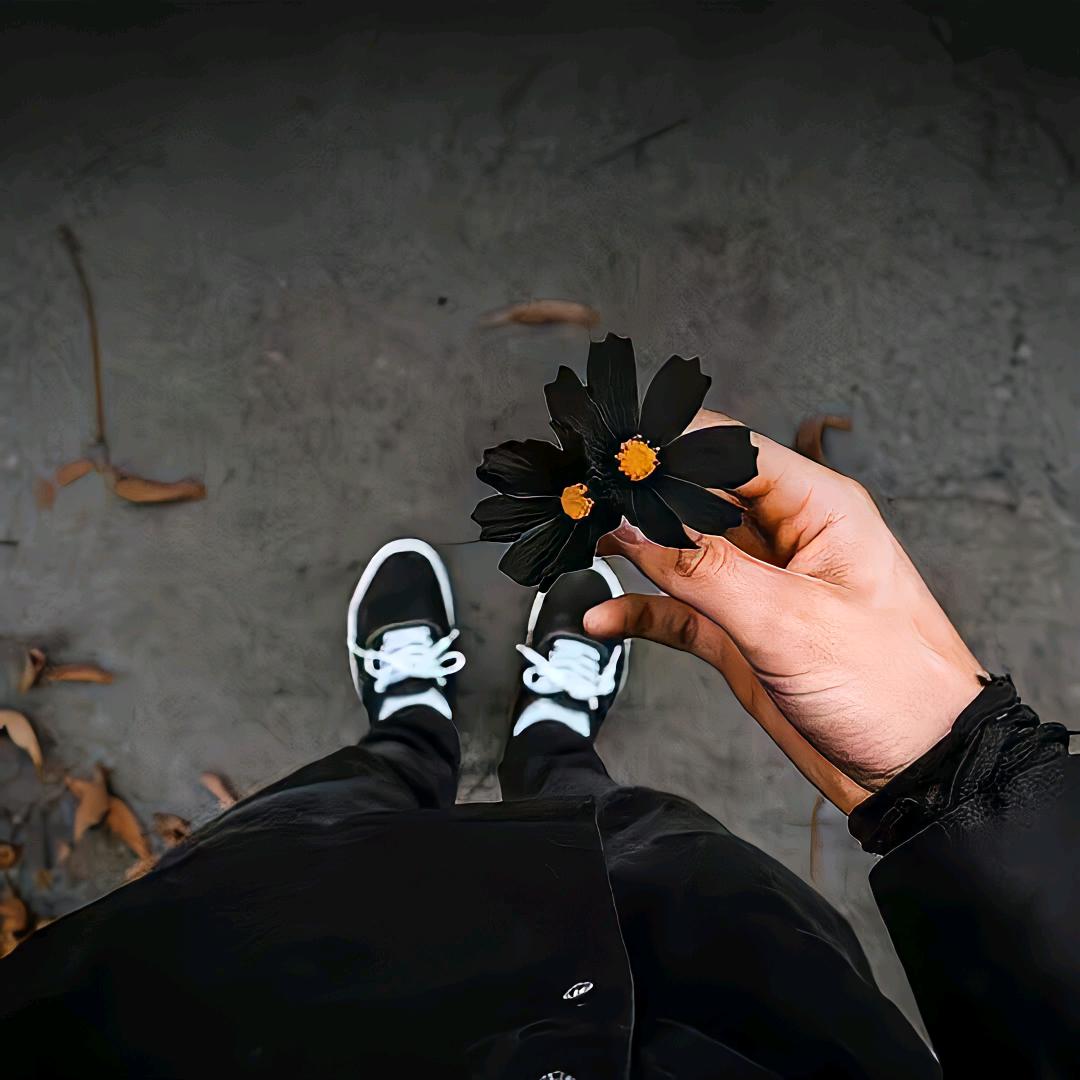 哪吒东胜分吒