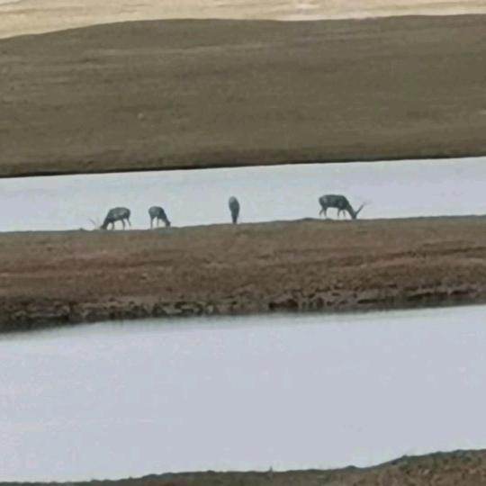 只有金钱降万物