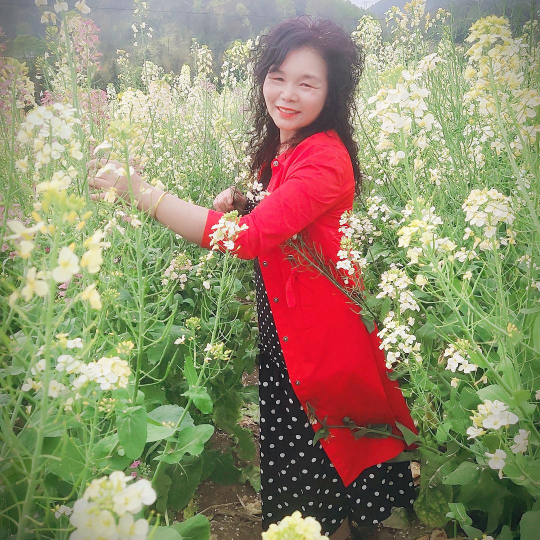 老林林好物橱窗