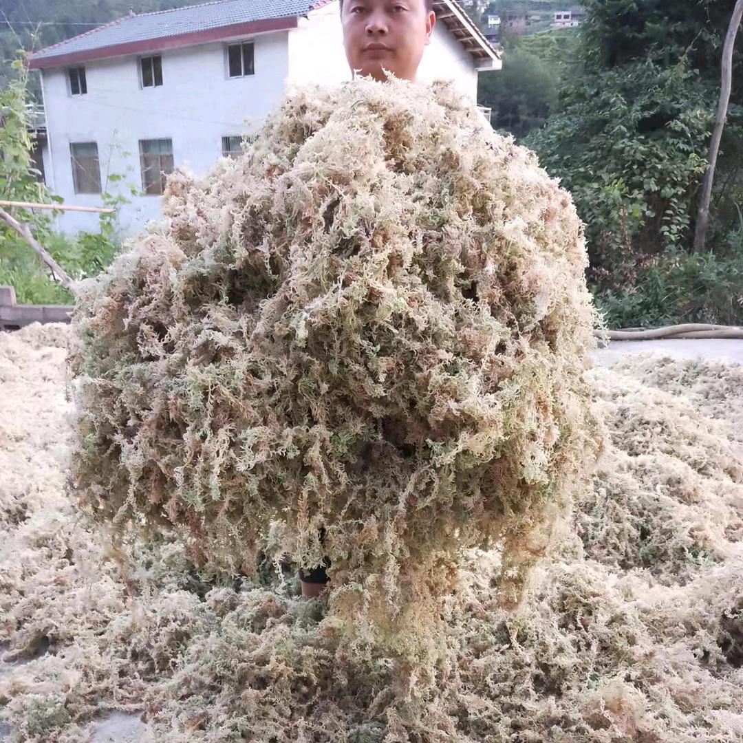 花为美园艺（水苔基地）