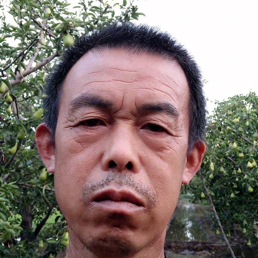 知足者常乐