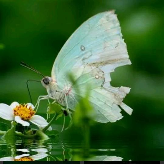 🌈*天然本无完美*🌈