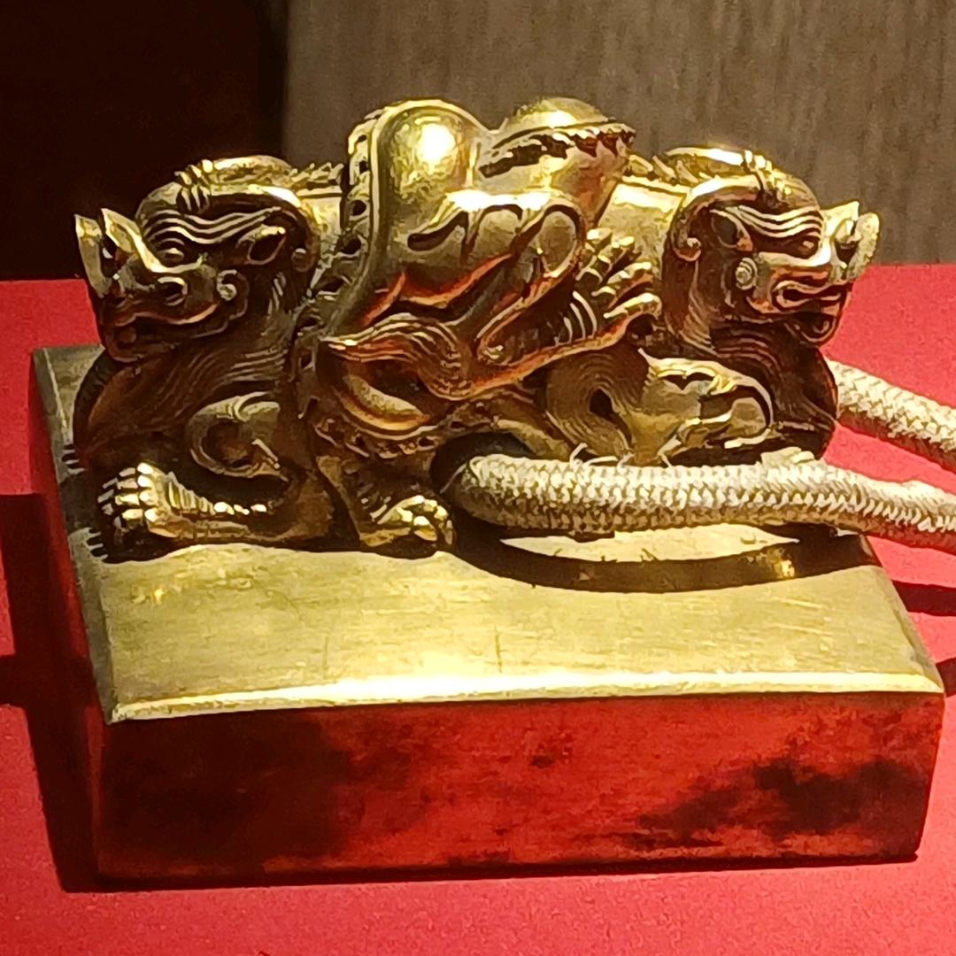 赞金龙：