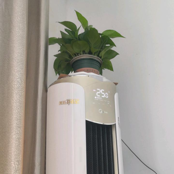 园林