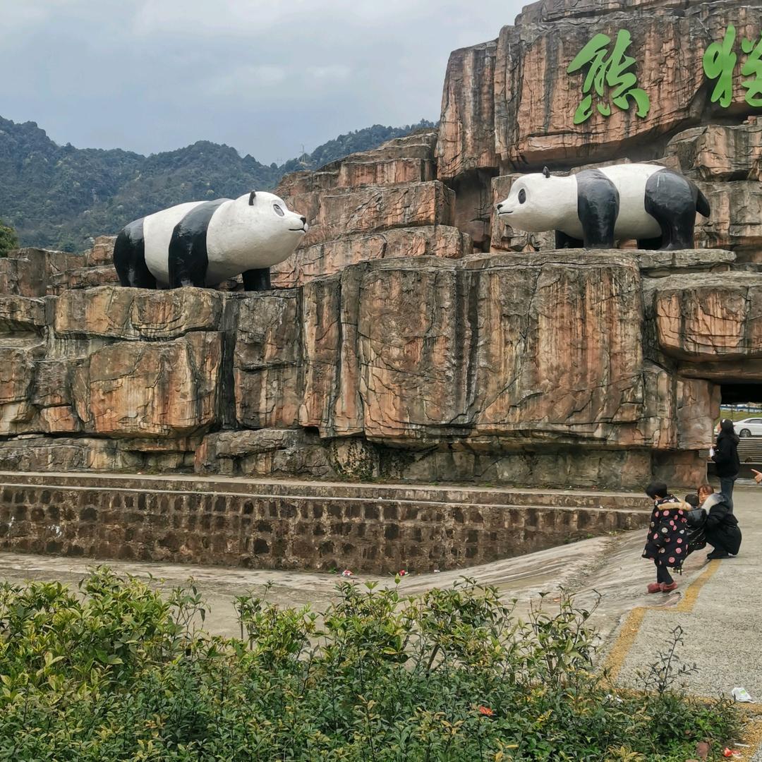 为了明天更美好