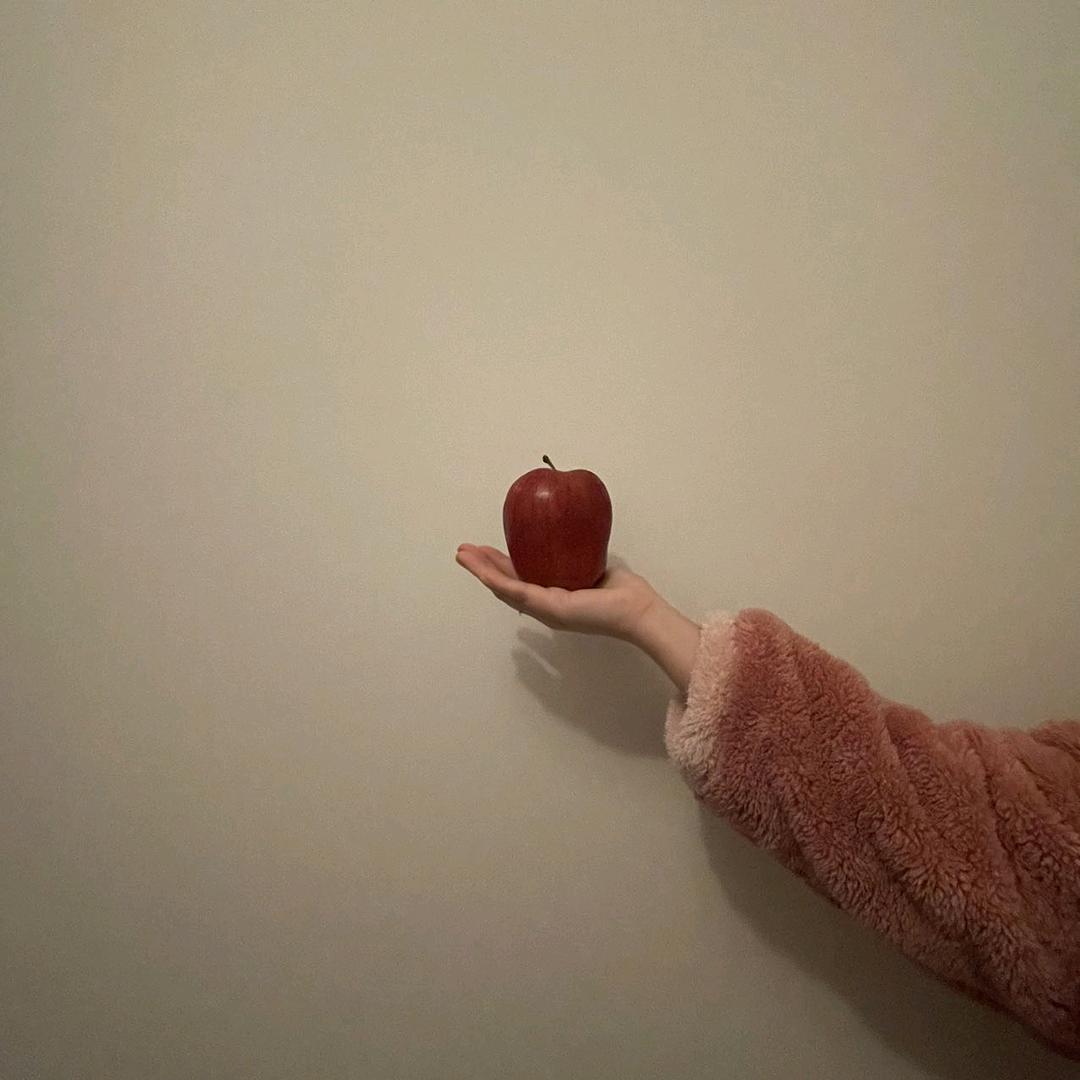 不吃豆芽儿