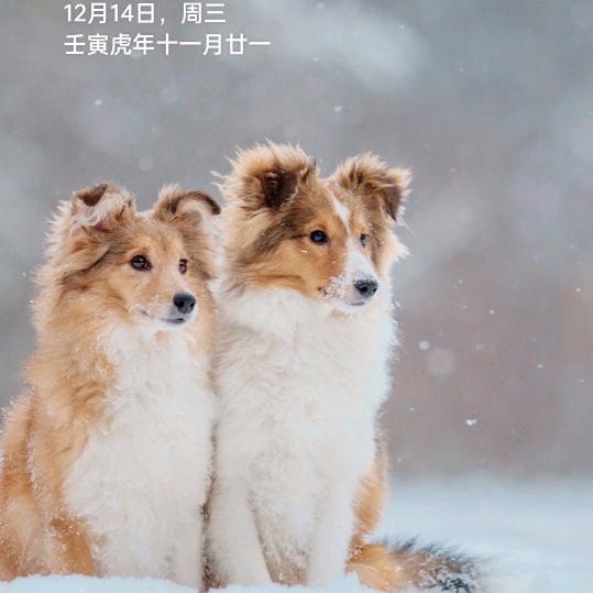 诚信第一