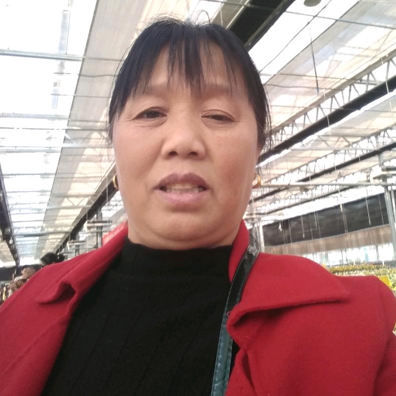 沈美荣