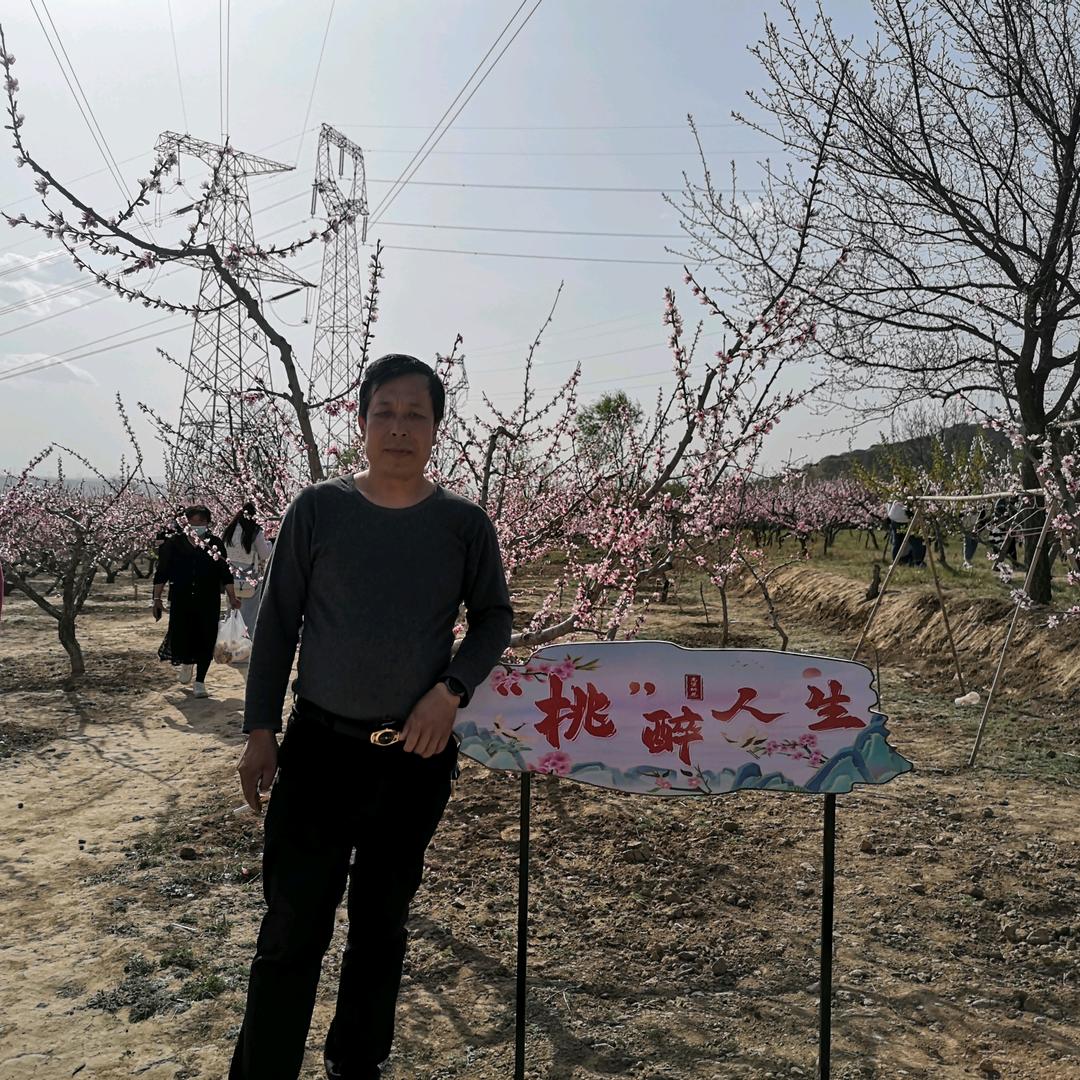 飞翔