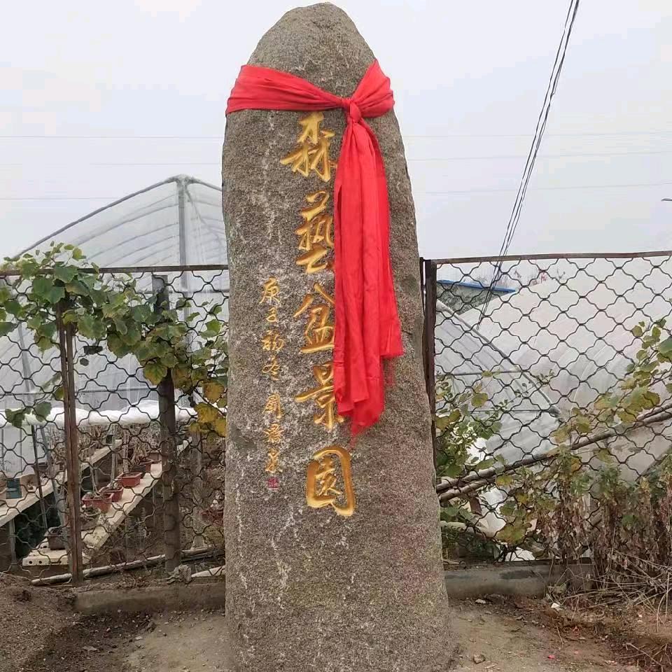 峄城区森艺盆景园