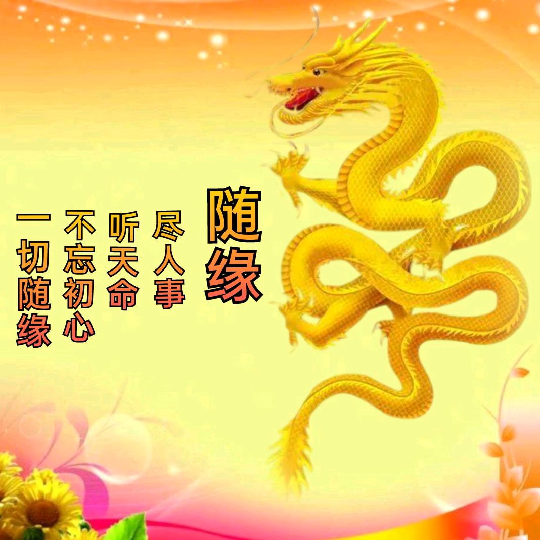 随缘～而行