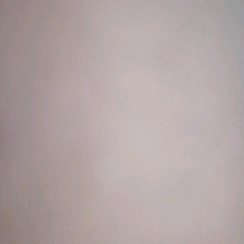 傻瓜
