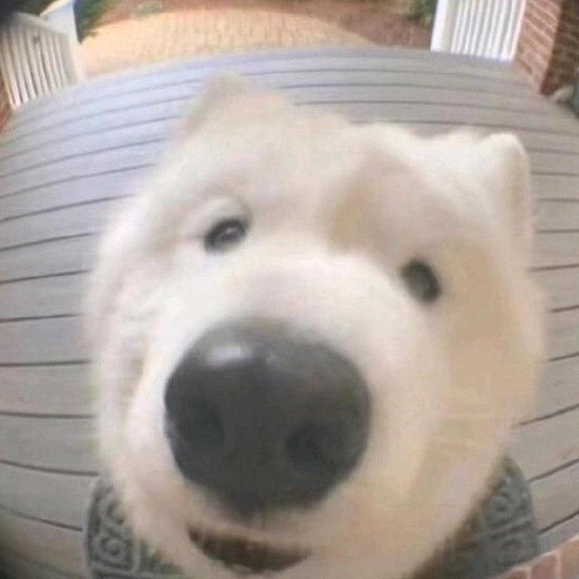 亿天天头像