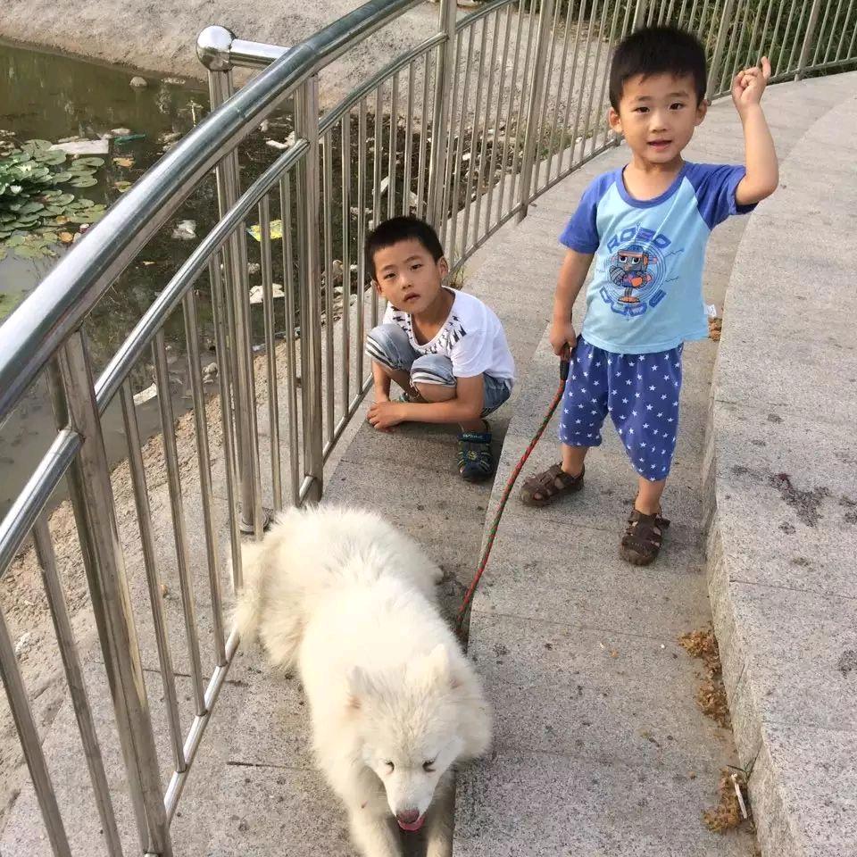 雾里看花