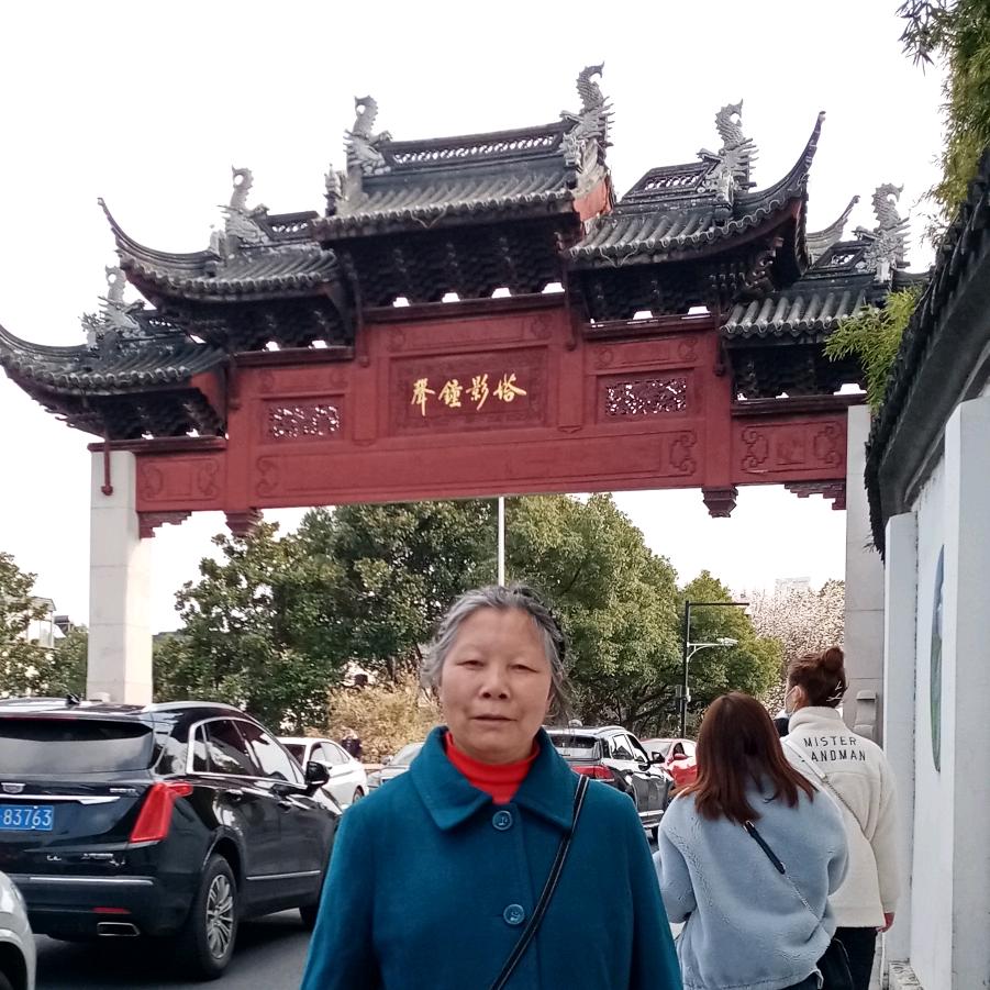 杉木一组，