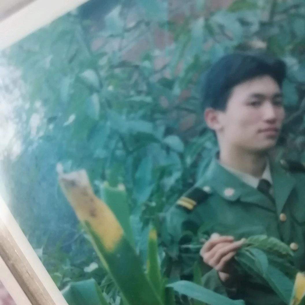 红尘雄鹰: