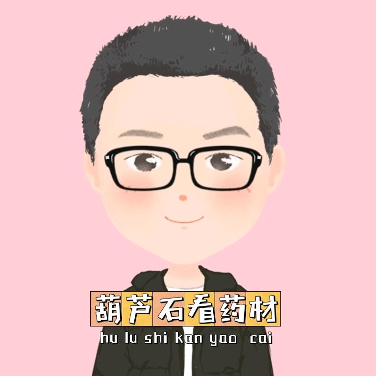 葫芦石看药材（石超峰+药网通~谈药网）