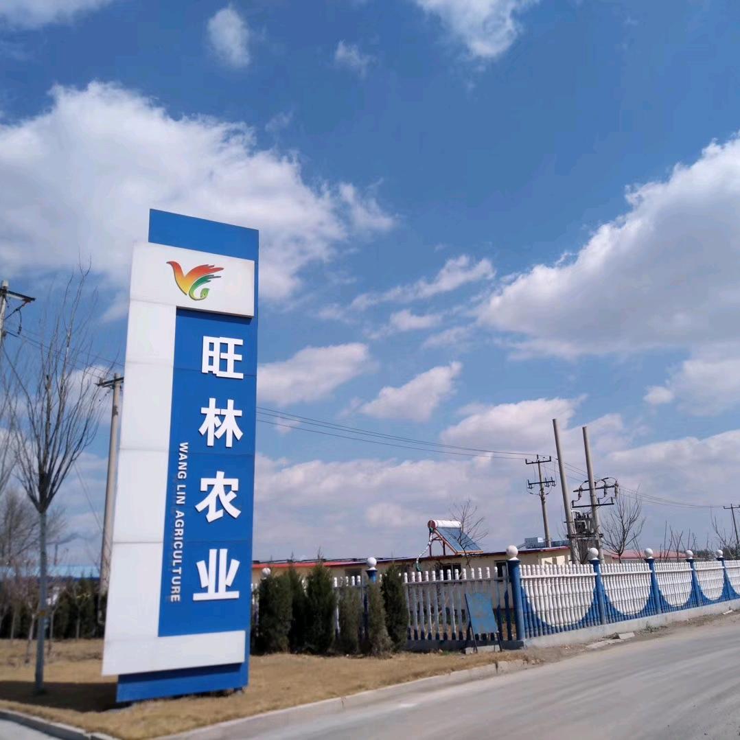 寿光市旺林农业育苗基地