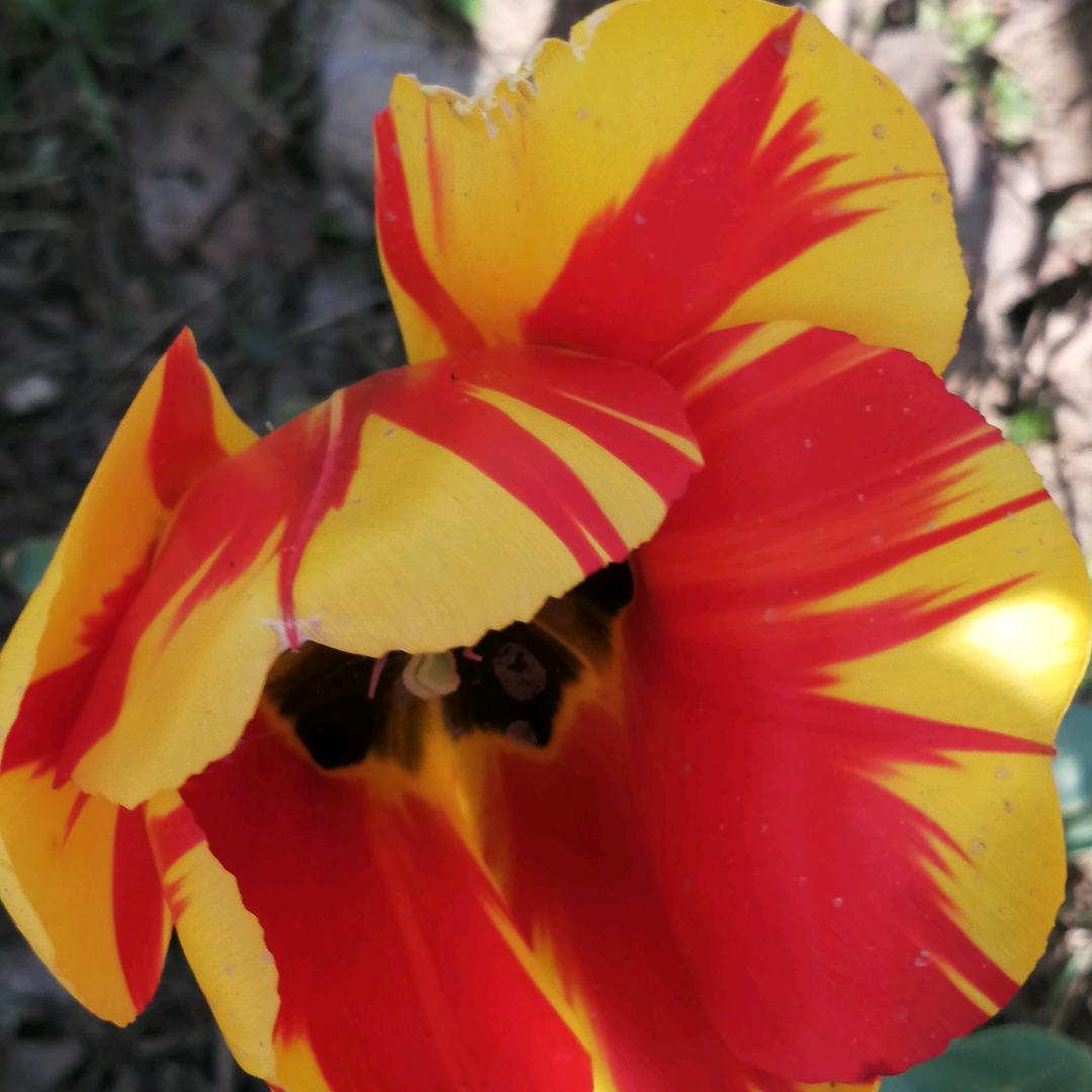 用户95642489902笑口常开