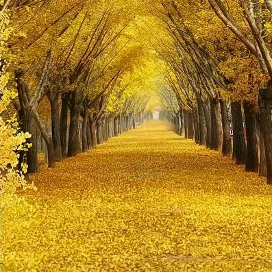 山顶一寺一壶酒