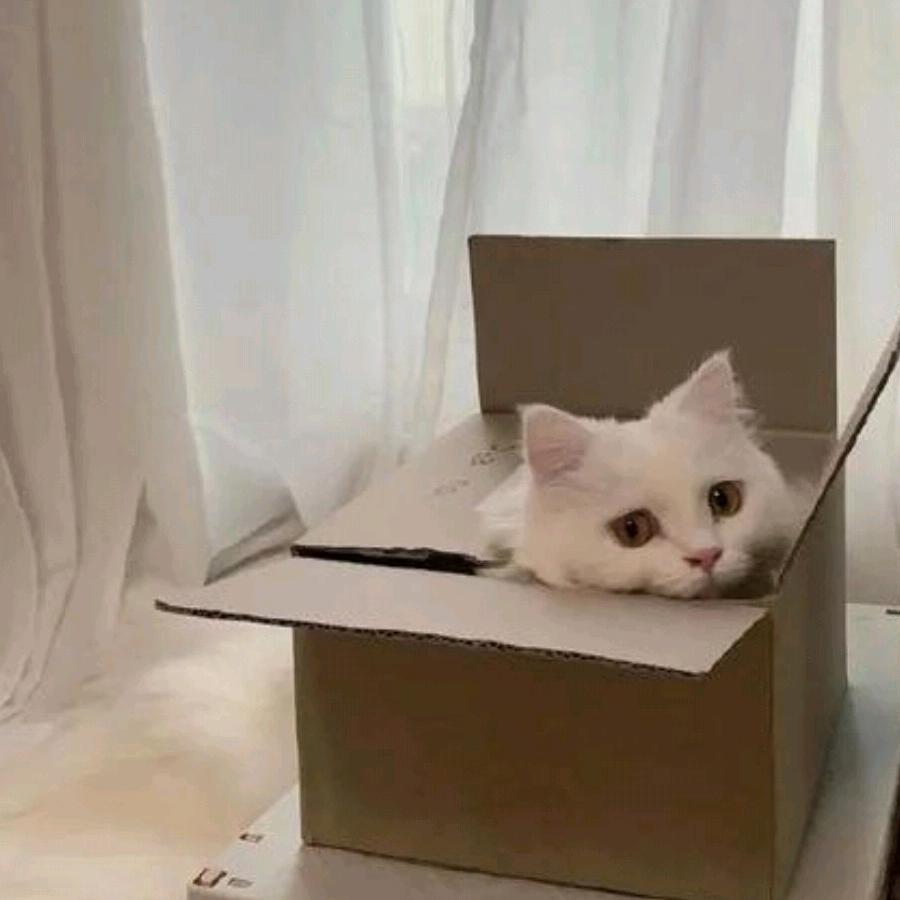 对你(^_^) 微笑
