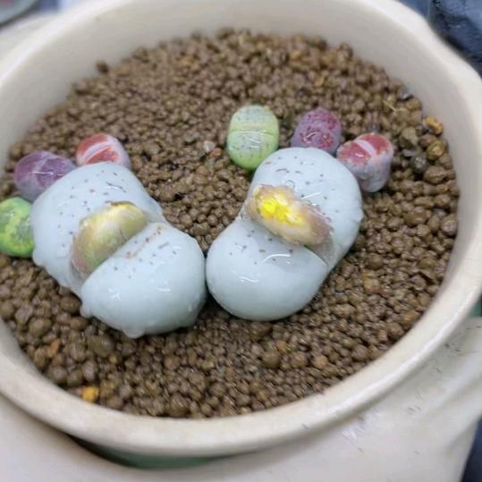 上官婉儿，拒绝连赞