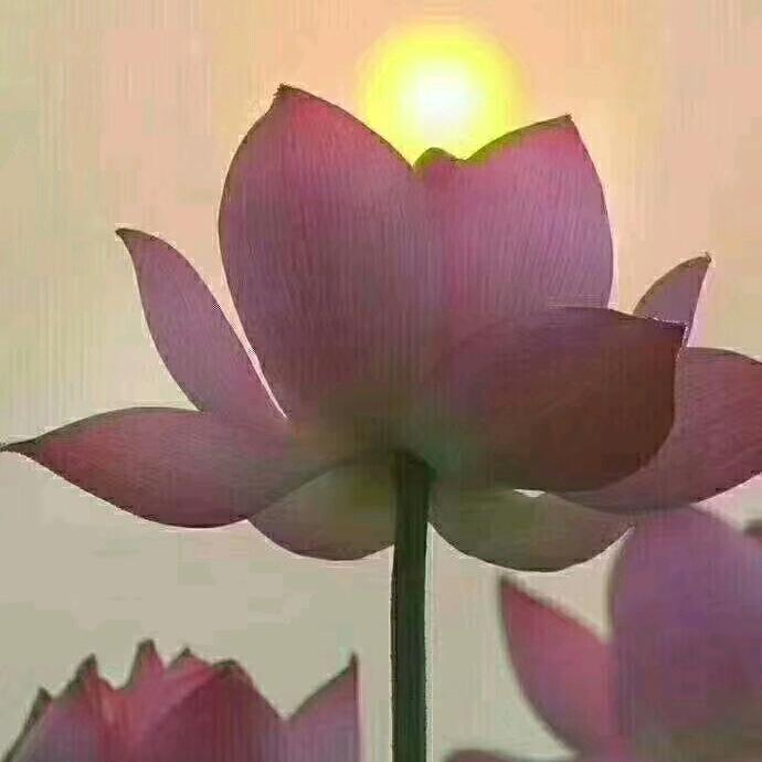 培训🥇金牌讲师宋老师