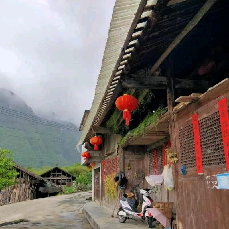 高玉