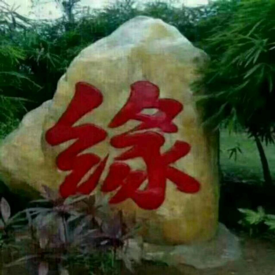 永远的记憶