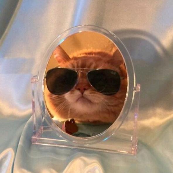 我什么时候能十点睡觉